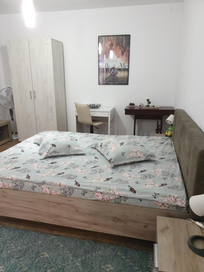 Appartement Casa Cinema à Braşov Extérieur photo